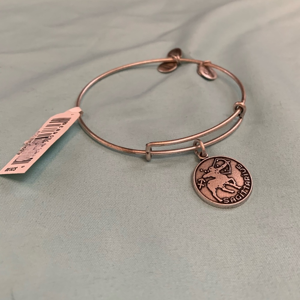 NWT Alex and ani bangle